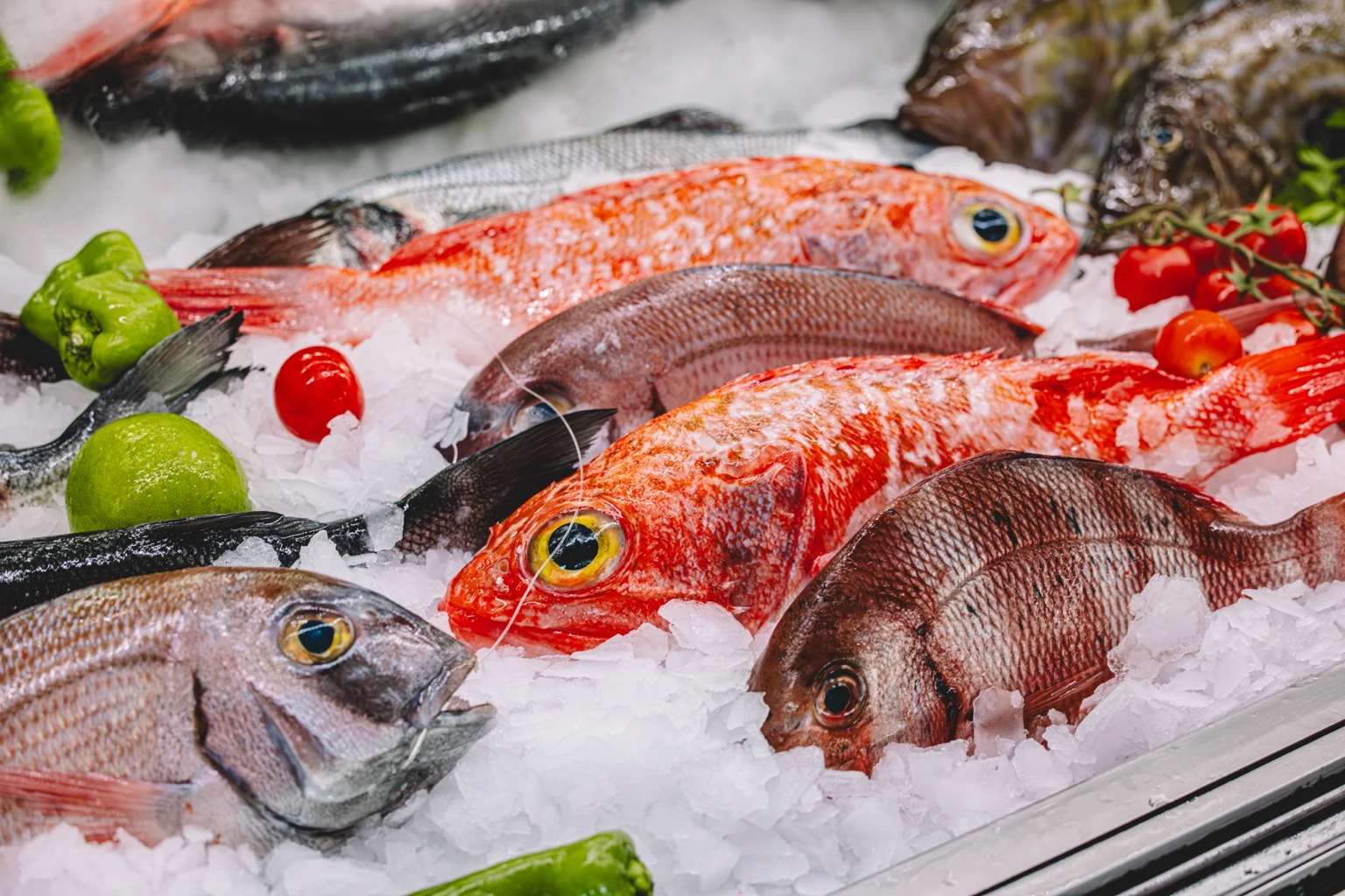 Pescado fresco