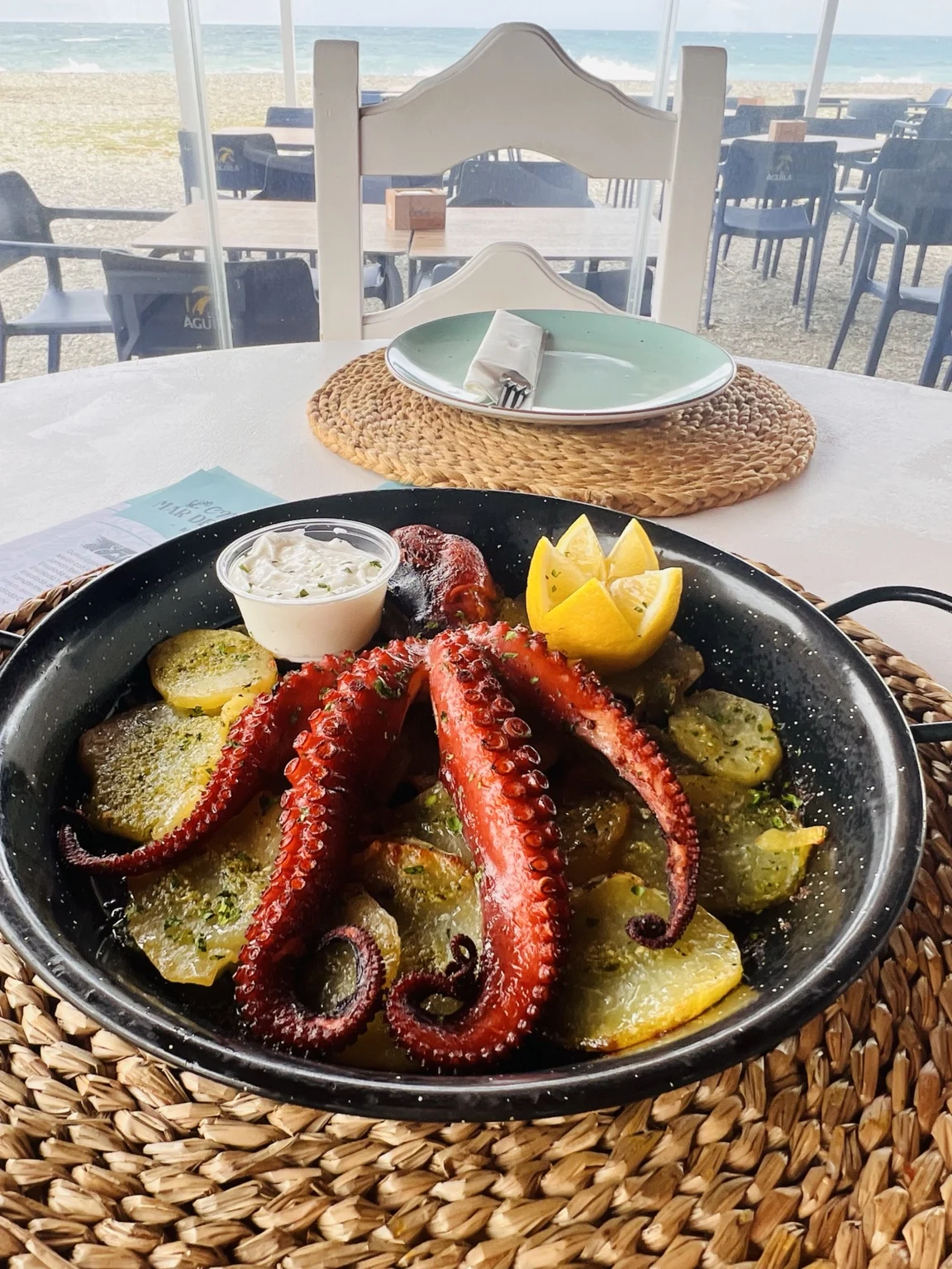 Pulpo junto al Mediterráneo